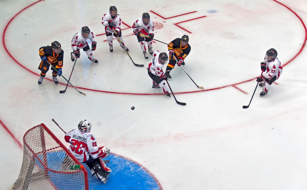Hockey player