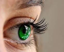 eye lashes